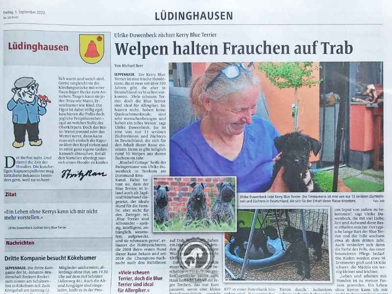 Die Westfälischen Nachrichten berichten über die Kerry Blue Terrier Welpen of Bluebell Cottage