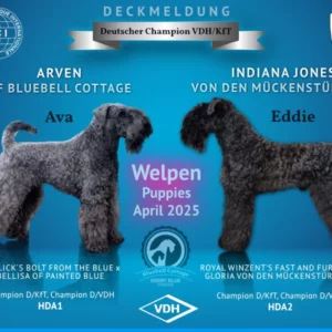 Bild mit Ava und Eddie