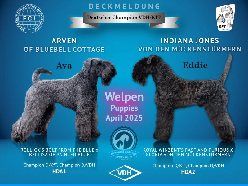 Bild mit Ava und Eddie